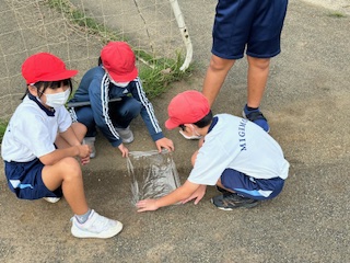 雨水のゆくえ